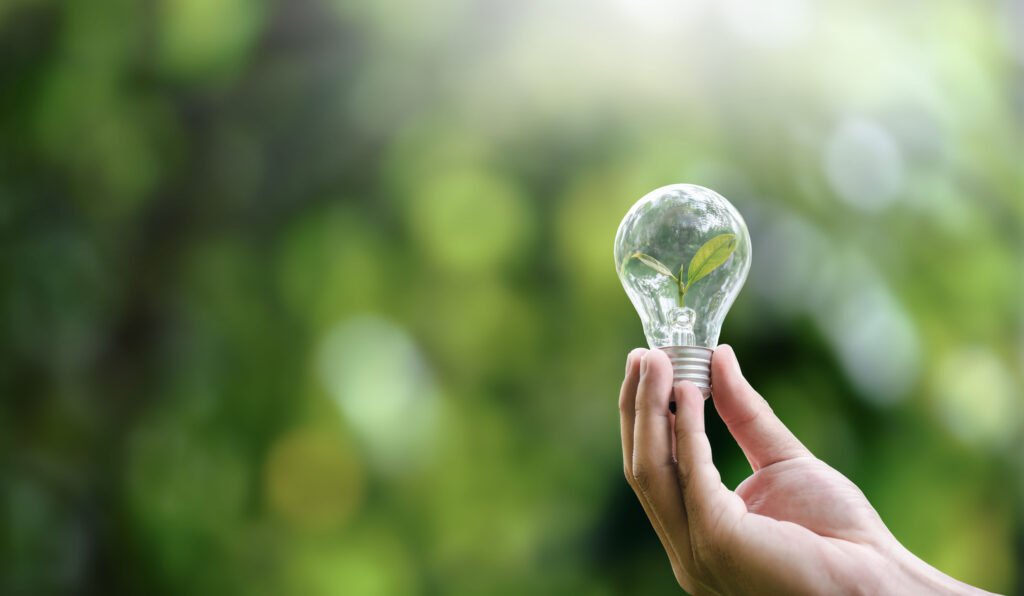 Hand holding light bulbs and growing plants Environment Sustainability Save the world clean Ecology concept.